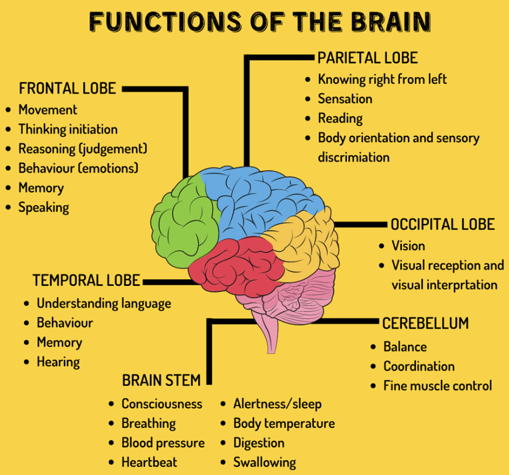 hemiplegia